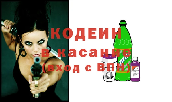 крисы Абаза