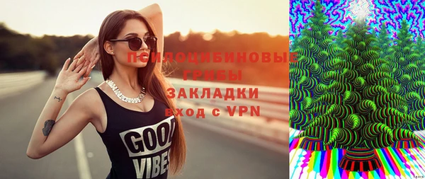 крисы Абаза