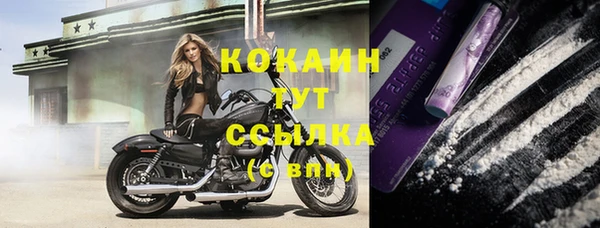 крисы Абаза