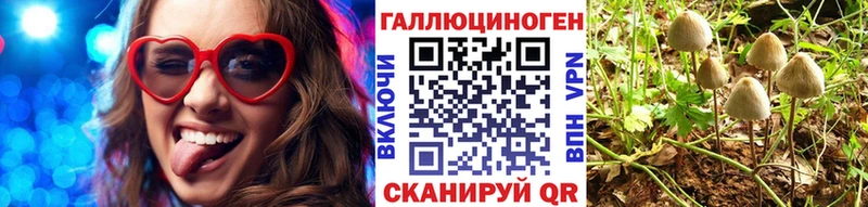 Галлюциногенные грибы мицелий купить наркотик Отрадный