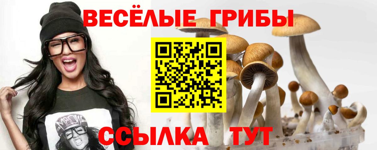 Псилоцибиновые грибы мухоморы  Вход с VPN  Галлюциногенные грибы MAGIC MUSHROOMS  Отрадный 