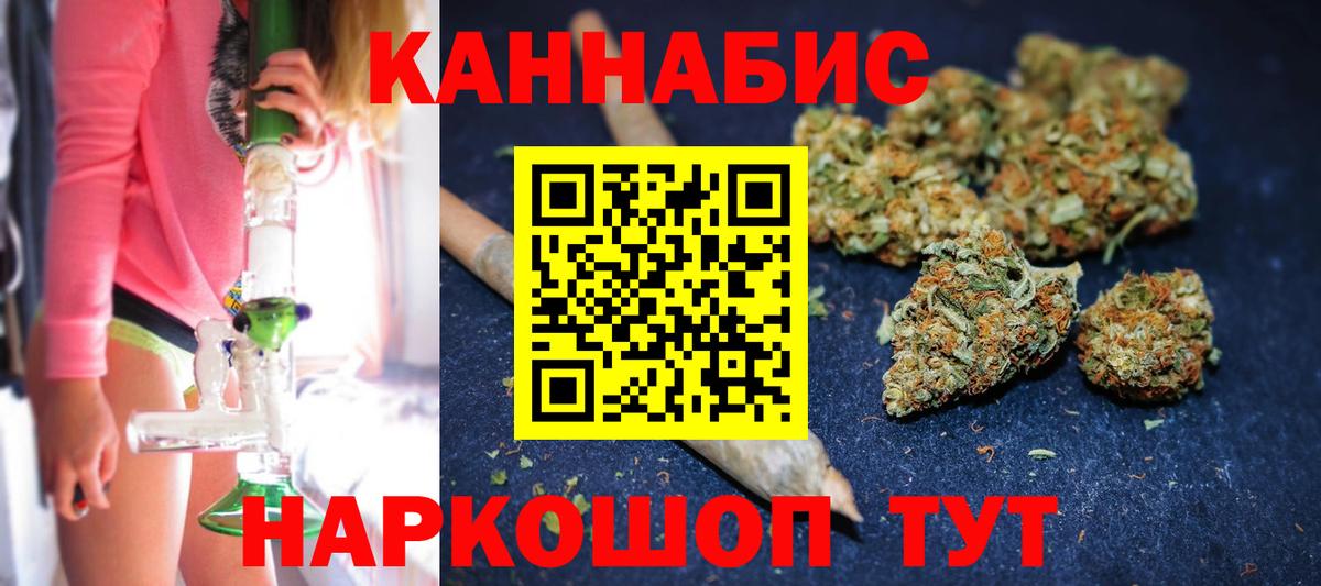 Каннабис планчик Отрадный
